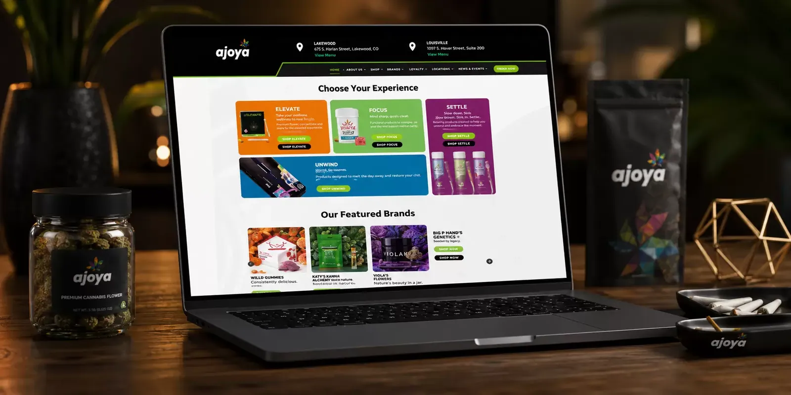 Ajoya new website screen 2