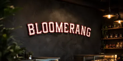 Bloomerang SF logo