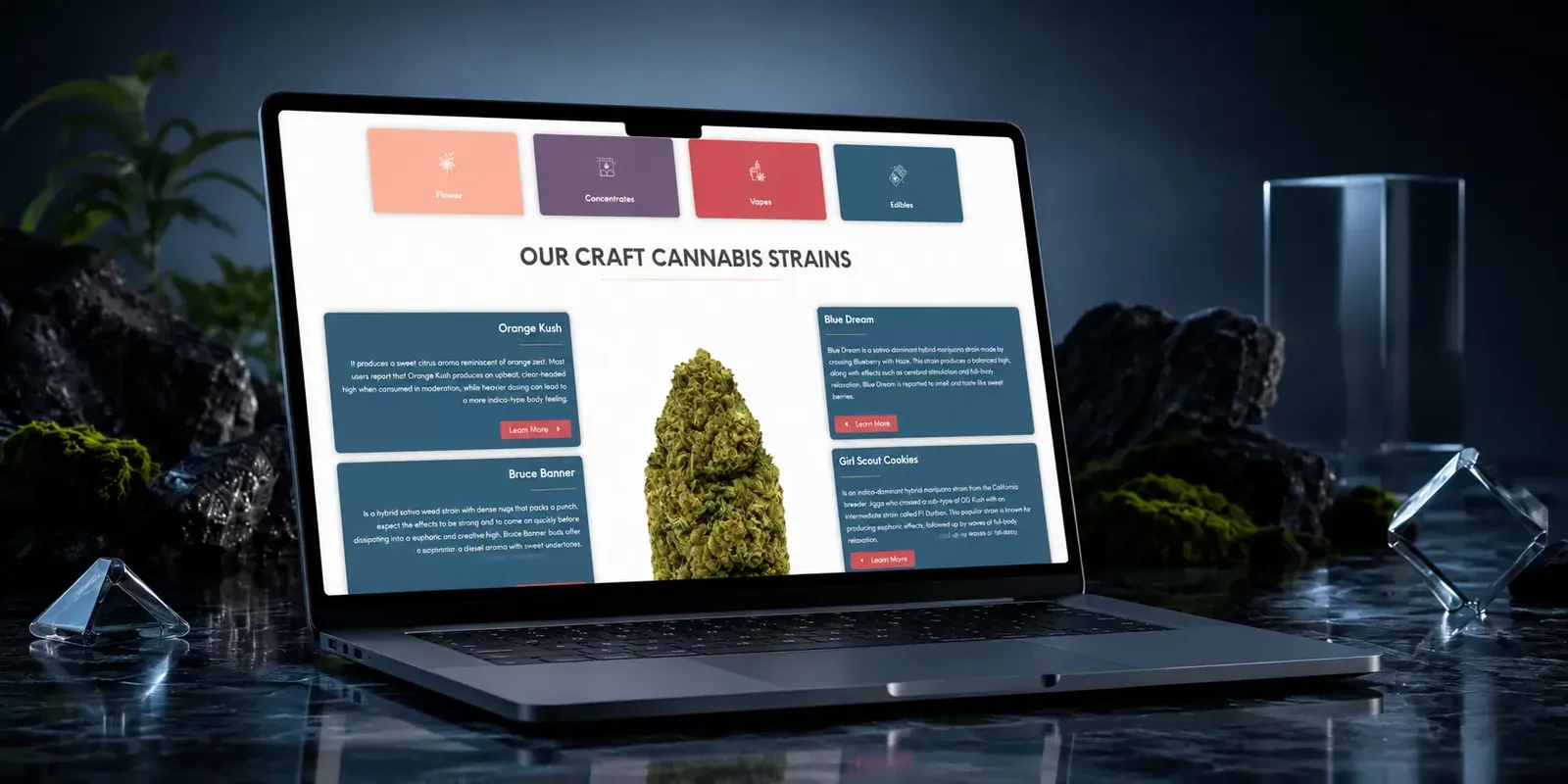 IndiGrow new website screen 1