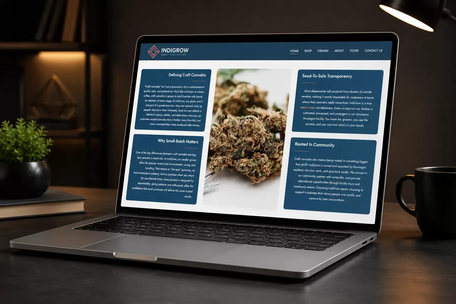 IndiGrow new website screen 2